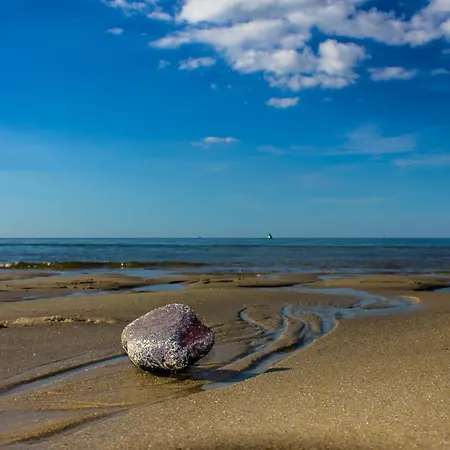 Apartamento Friesenliebe In Almdorf