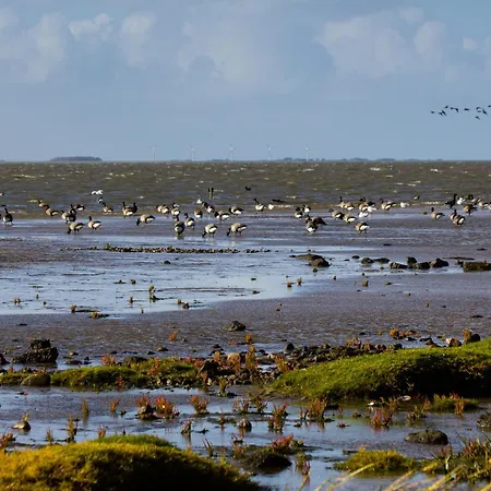 Friesenliebe In Apartamento Almdorf